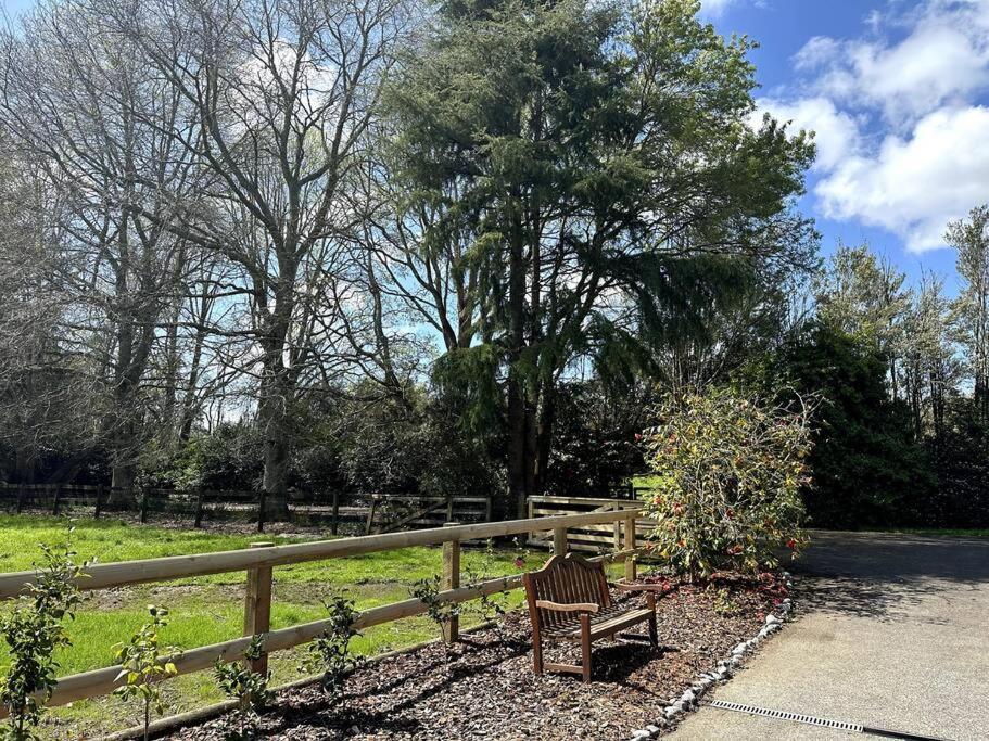 Kauri Holiday home Taupaki